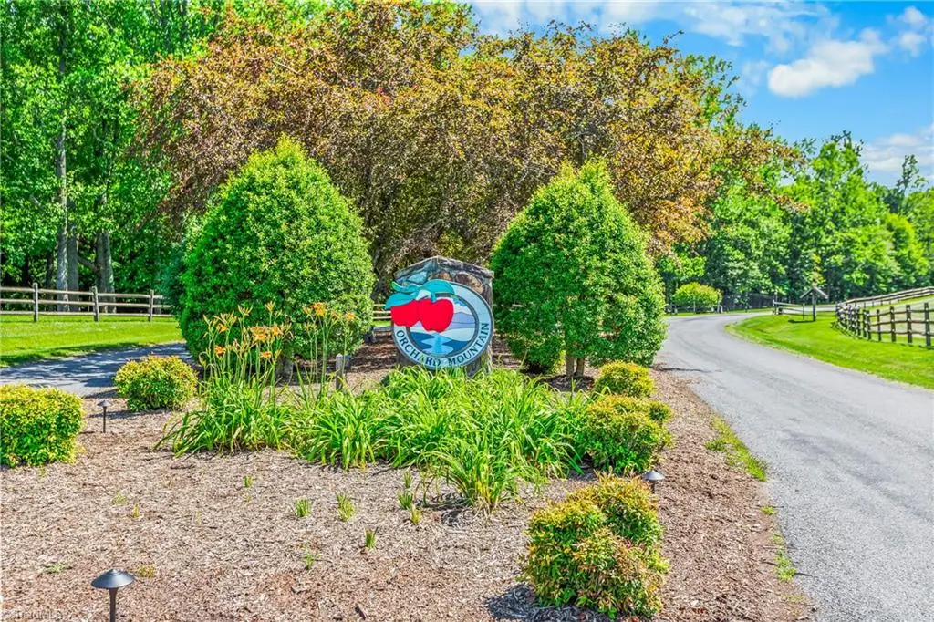 Lot 87 Mcintosh Drive, Lowgap, NC 27024 - #1