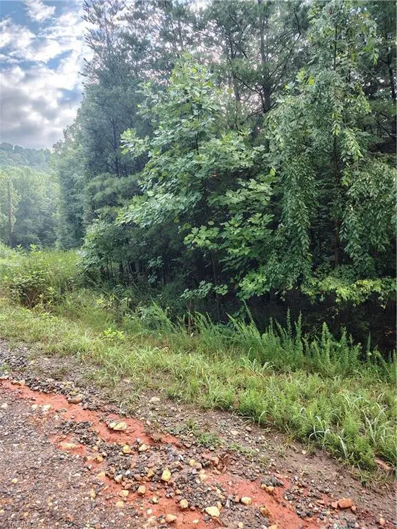 00 Moonview, Cana, VA 24317