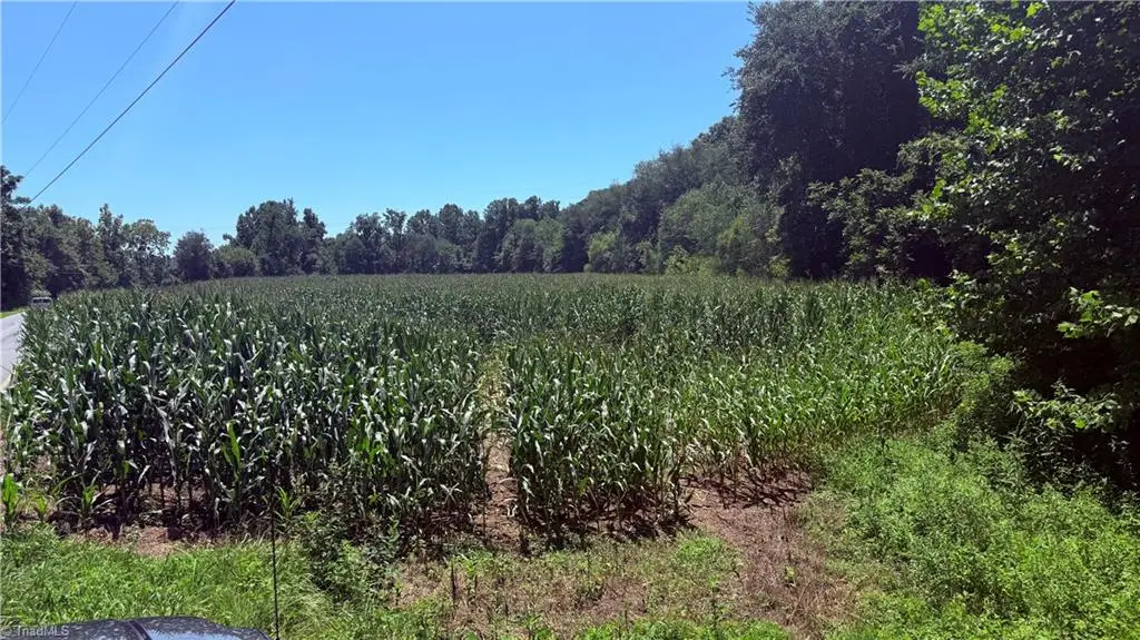 TBD Rockford Road, Dobson, NC 27017 - #1