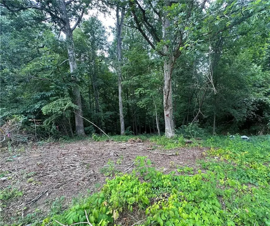 4430 Ben Lane, Walkertown, NC 27051 - #3
