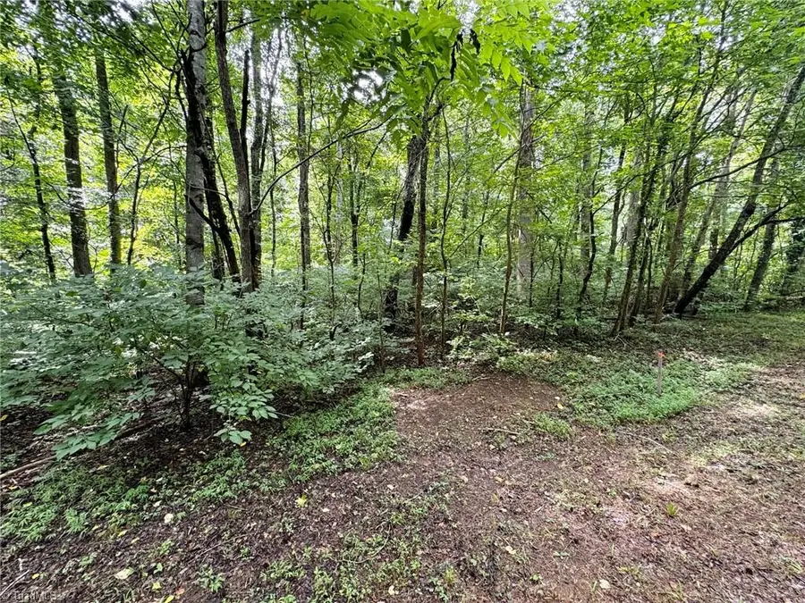Lot 1 Cypress Drive, Reidsville, NC 27320 - #2