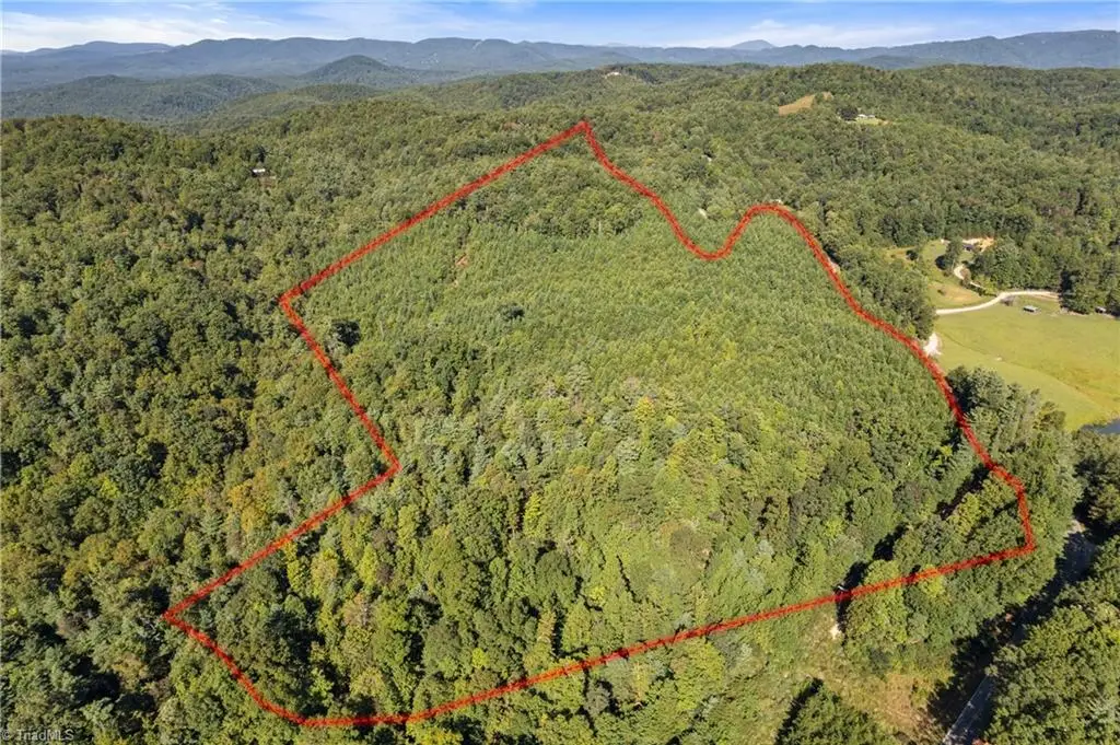 0 Mertie Road, Millers Creek, NC 28651 - #1