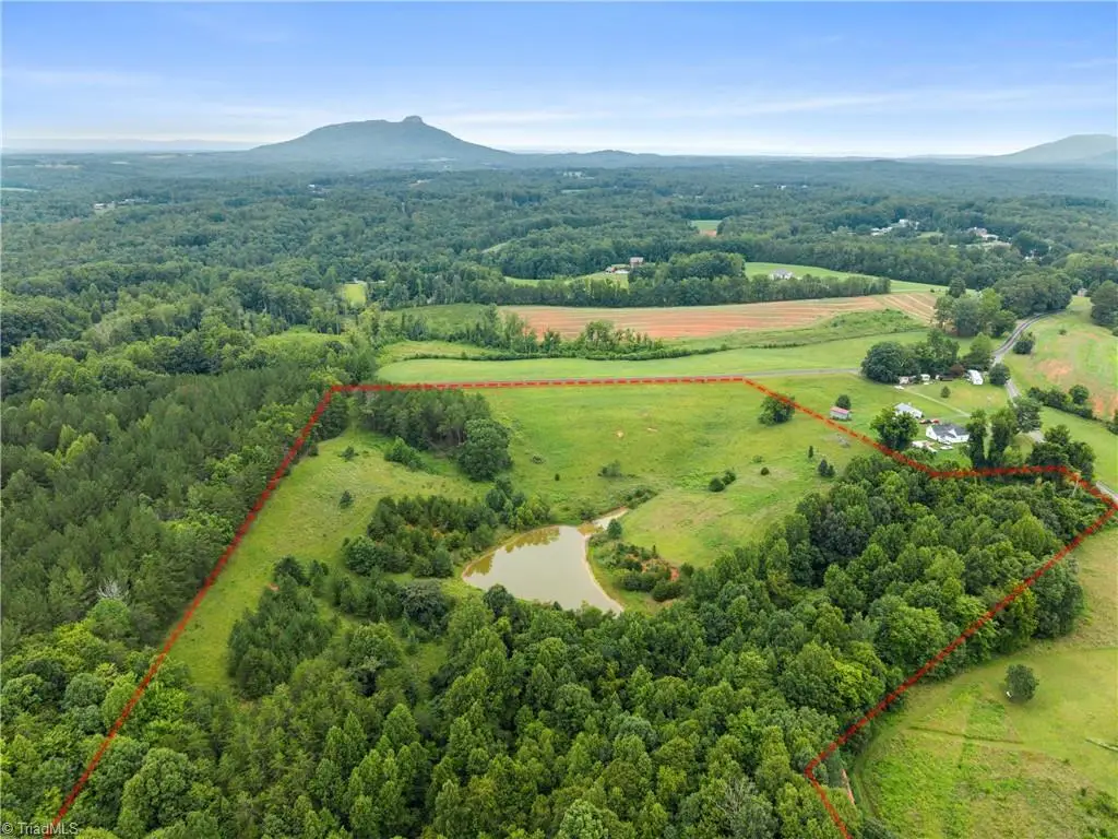 0 Hauser Road, Pinnacle, NC 27043 - #1