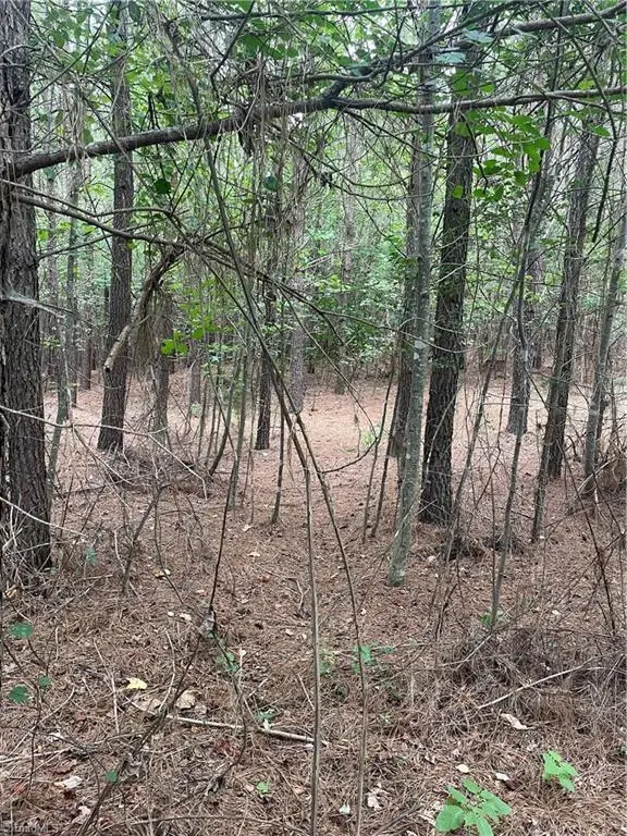 0 S Stokes School Road, Walnut Cove, NC 27052 - #3