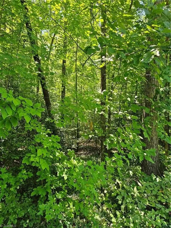 Lot 408 Pine Road, Lexington, NC 27292 - #2