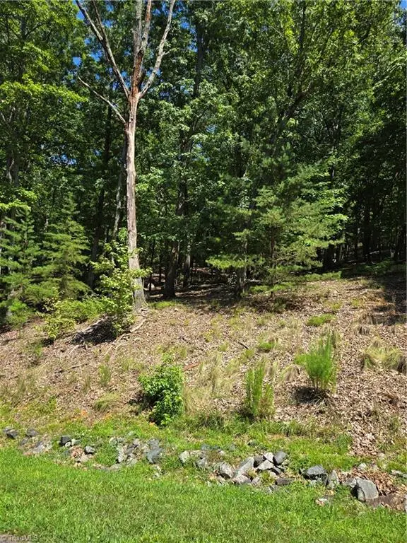 377 Pinnacle Trail, Denton, NC 27239 - #3