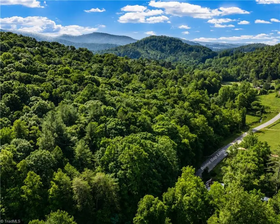 00-00 (9.99 Acres) Boone Gap Lane #Tract-2/BLOCK 1218, Taylorsville, NC 28681 - #2
