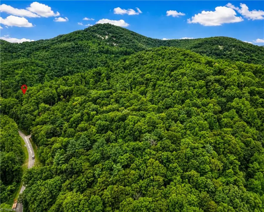 00-00 (9.99 Acres) Boone Gap Lane #Tract-2/BLOCK 1218, Taylorsville, NC 28681 - #3