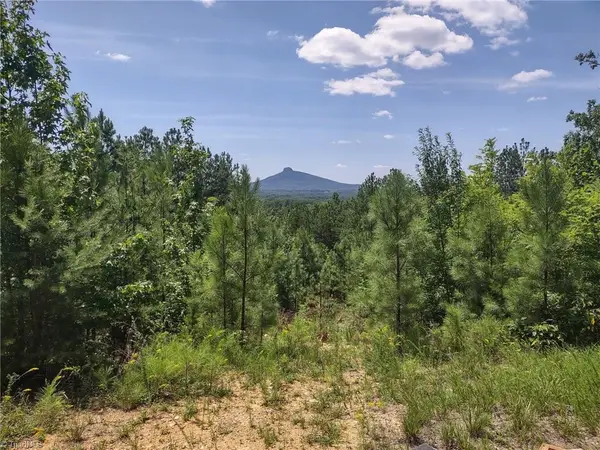 0 Pine Tree Drive, Pinnacle, NC 27043