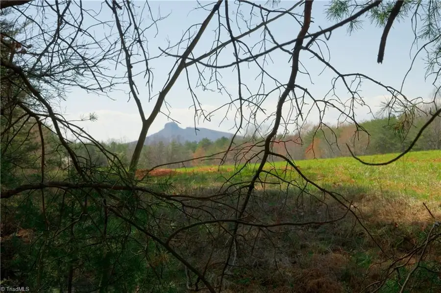 4 Old Mill Road, Pinnacle, NC 27043 - #2