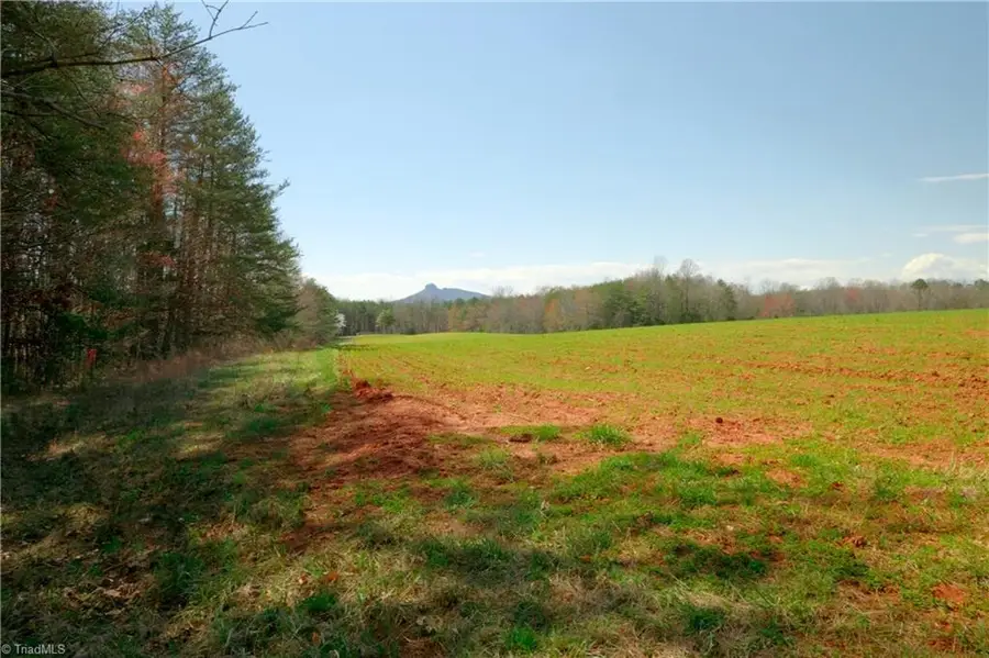 4 Old Mill Road, Pinnacle, NC 27043 - #3