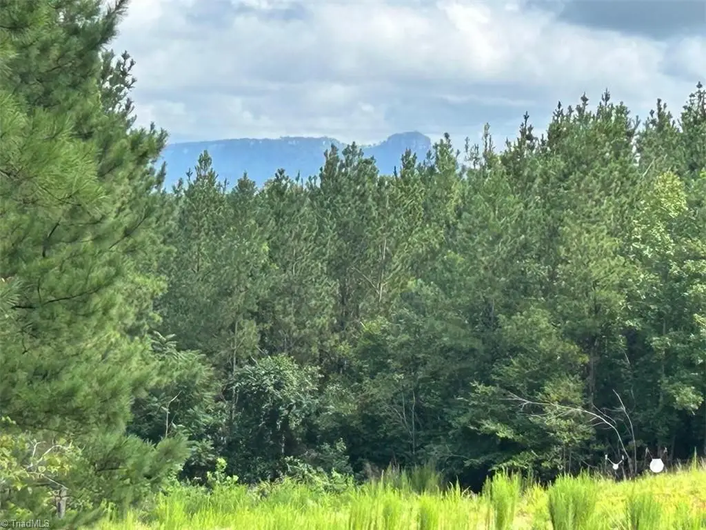4429 Union Hill Road, East Bend, NC 27018 - #1