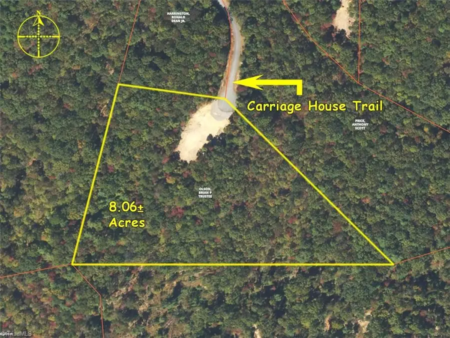000 Carriage House Trail #Lot 157, McGrady, NC 28649 - #2