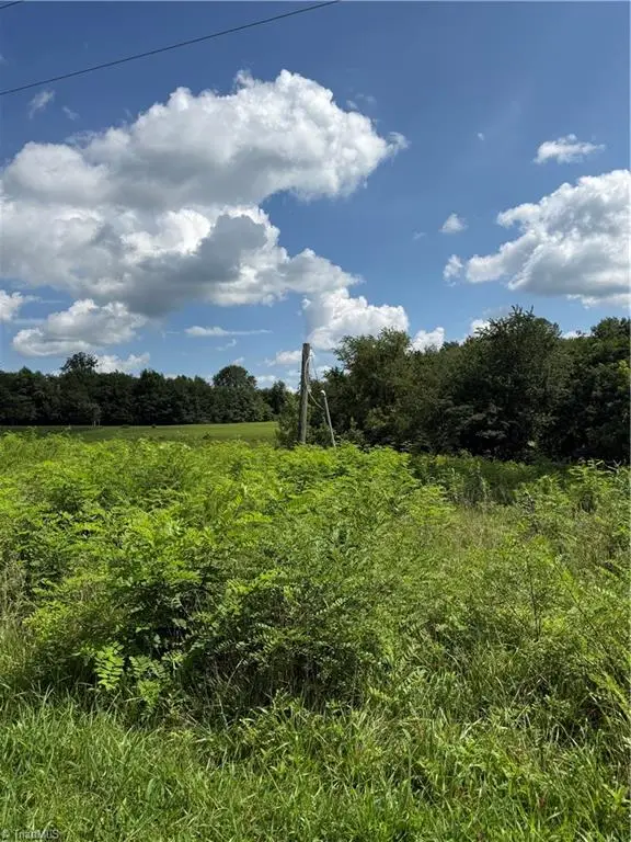 00 Mccarther Road, Mount Airy, NC 27030 - #2