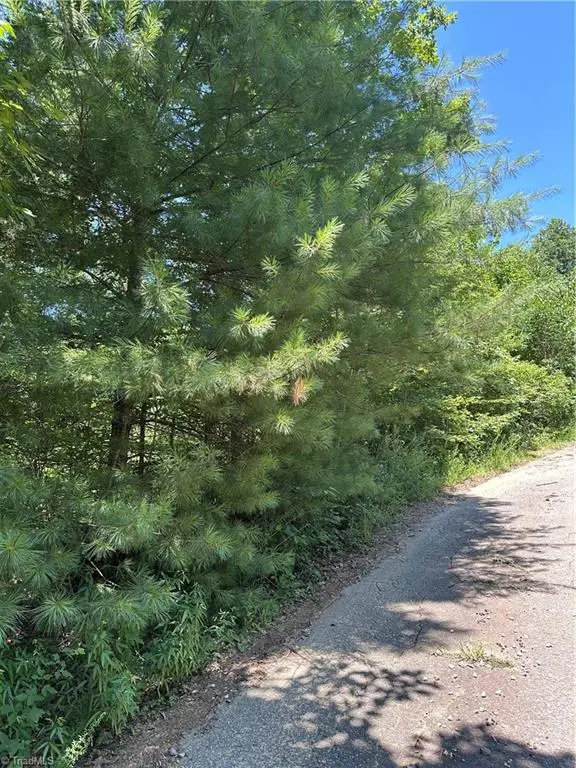 3960 Winston Drive, Morganton, NC 28655