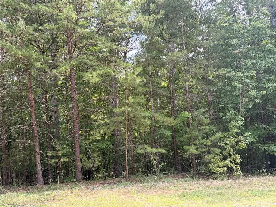 135 Glenrobin Drive, Eden, NC 27288 - #3