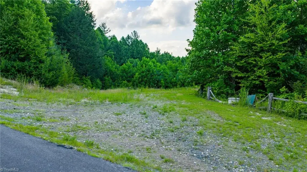 TBD 7 Big Laurel Road, Creston, NC 28615 - #1