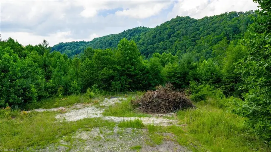 TBD 7 Big Laurel Road, Creston, NC 28615 - #3