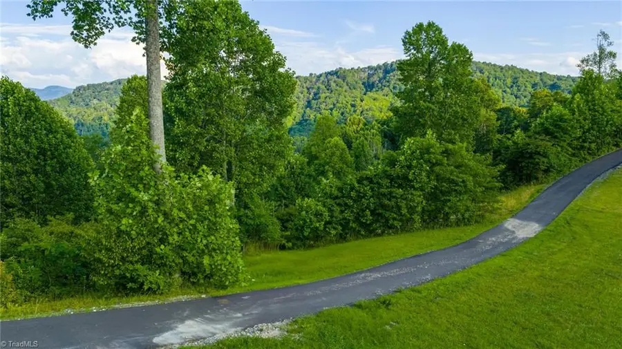 TBD 3 Big Laurel Road, Creston, NC 28615 - #3