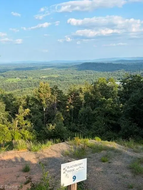 Lot #9 Widow Mountain Drive, McGrady, NC 28649