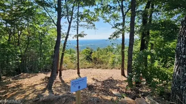 Lot #9 Widow Mountain Drive, McGrady, NC 28649 - #3