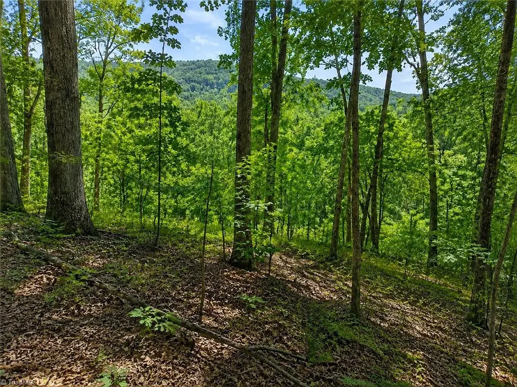 0 Sheppard Mill Road, Danbury, NC 27016 - #1