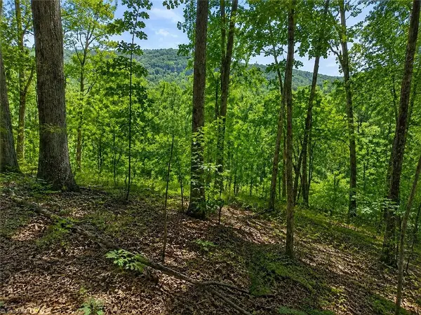 0 Sheppard Mill Road, Danbury, NC 27016