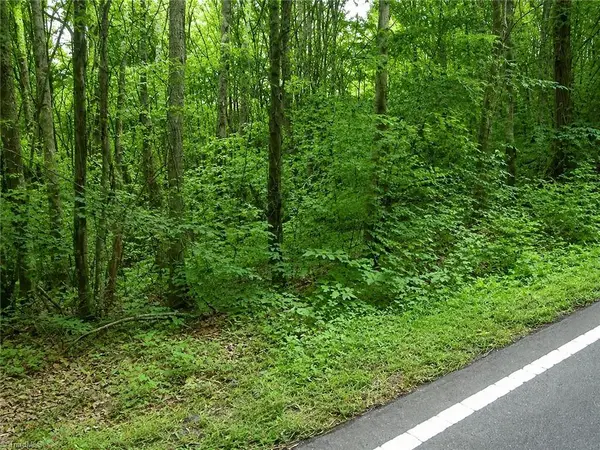 0 Sheppard Mill Road, Danbury, NC 27016