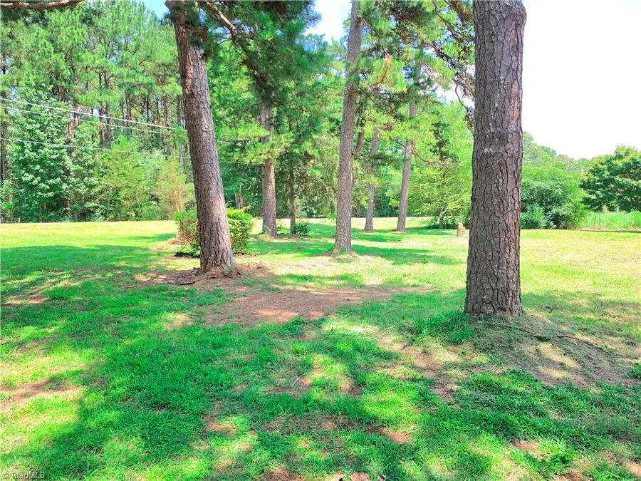 1520 Nc Highway 62 E, Climax, NC 27233 - #2