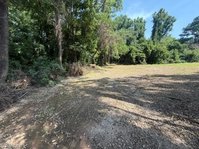 4729 Dippen Road, Middle Fork I, NC 27105 - #1