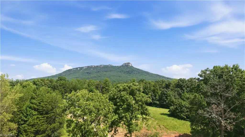 180 Great View Lane, Pinnacle, NC 27043 - #1