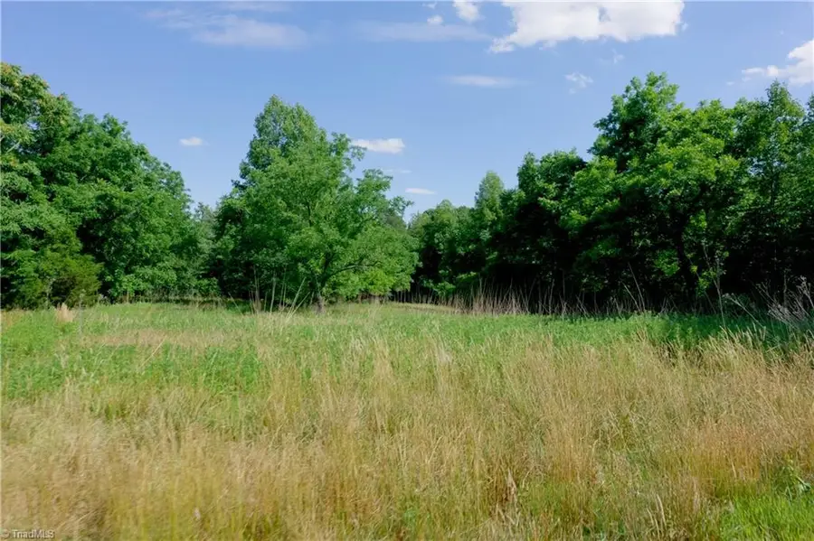 0 Tesh Road, Germanton, NC 27019 - #2