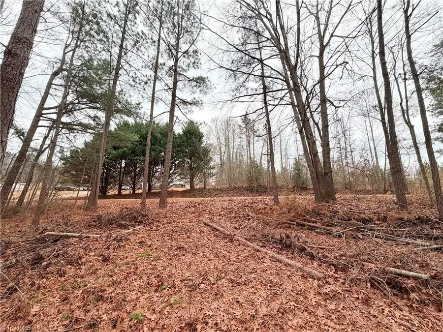 000 Shumate Mountain Road, Hays, NC 28635 - #3