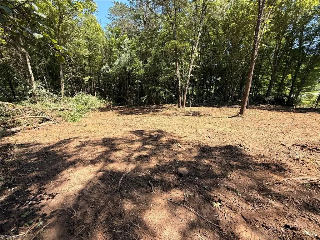 0 Wilson Street, Lexington, NC 27292 - #1