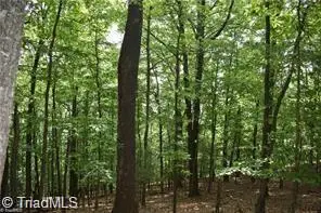 4 Greenstreet Drive, Traphill, NC 28685