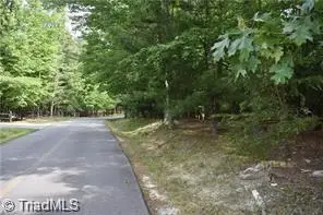 4 Greenstreet Drive, Traphill, NC 28685 - #3