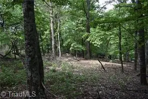 71 Grandview Drive, Traphill, NC 28685