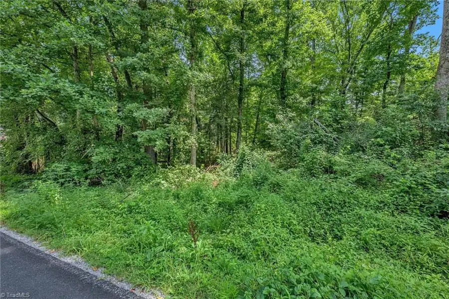 TBD Raven Oak Drive, Wilkesboro, NC 28697 - #3