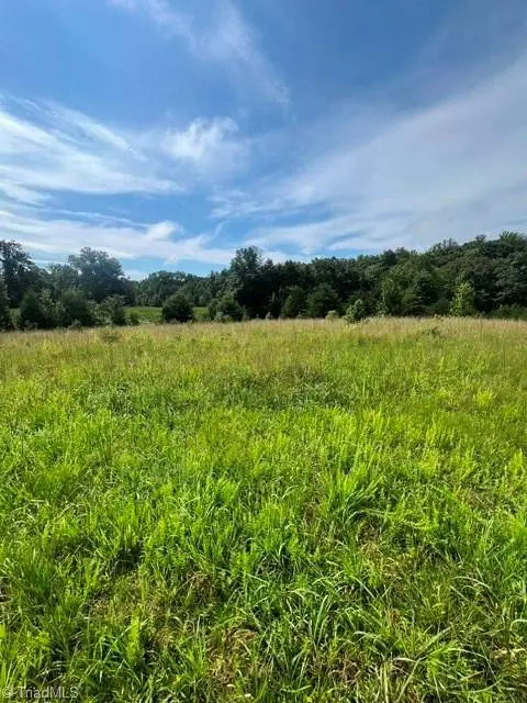 0 Dorse Road, Lewisville, NC 27023 - #3