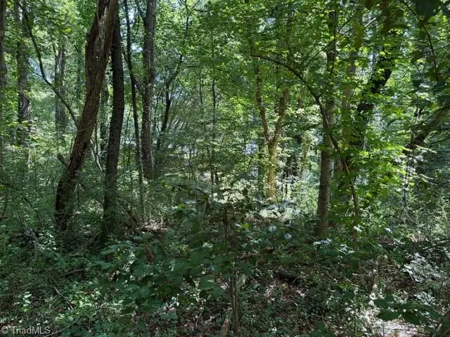 0 S Mineral Springs Drive, Jonesville, NC 28642 - #3