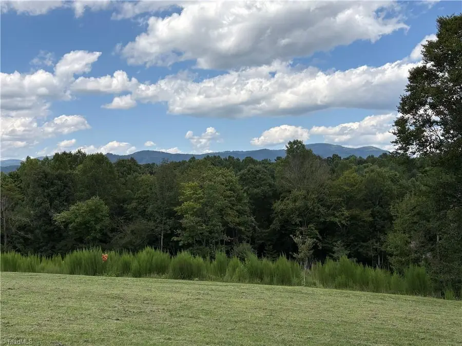 910 Hanks Street, Traphill, NC 28685 - #2