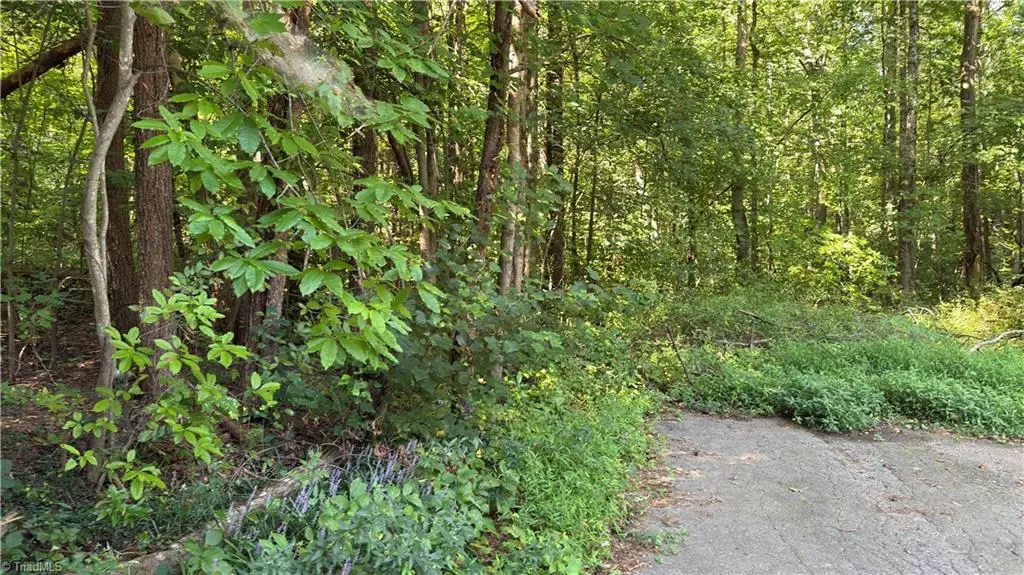00 Sherry Lane, Yadkinville, NC 27055 - #1
