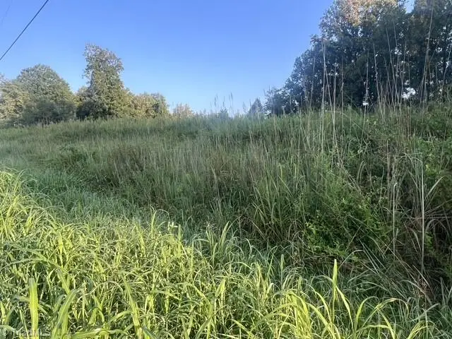 0 Mount Bethel Church Road, East Bend, NC 27018 - #3