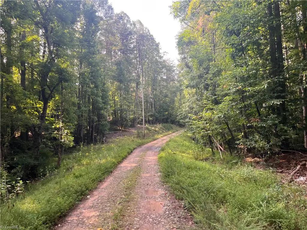 1170 Timber Ridge Road, Westfield, NC 27053 - #1