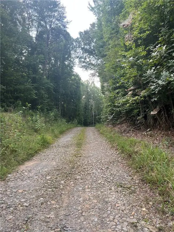 1170 Timber Ridge Road, Westfield, NC 27053 - #2