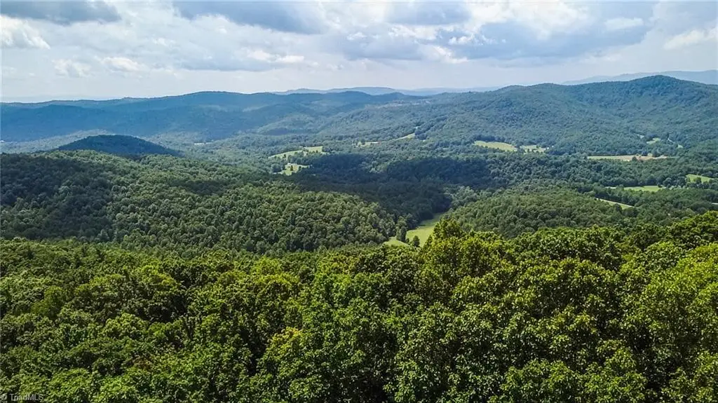 TBD Timber Ridge Road, McGrady, NC 28649 - #1