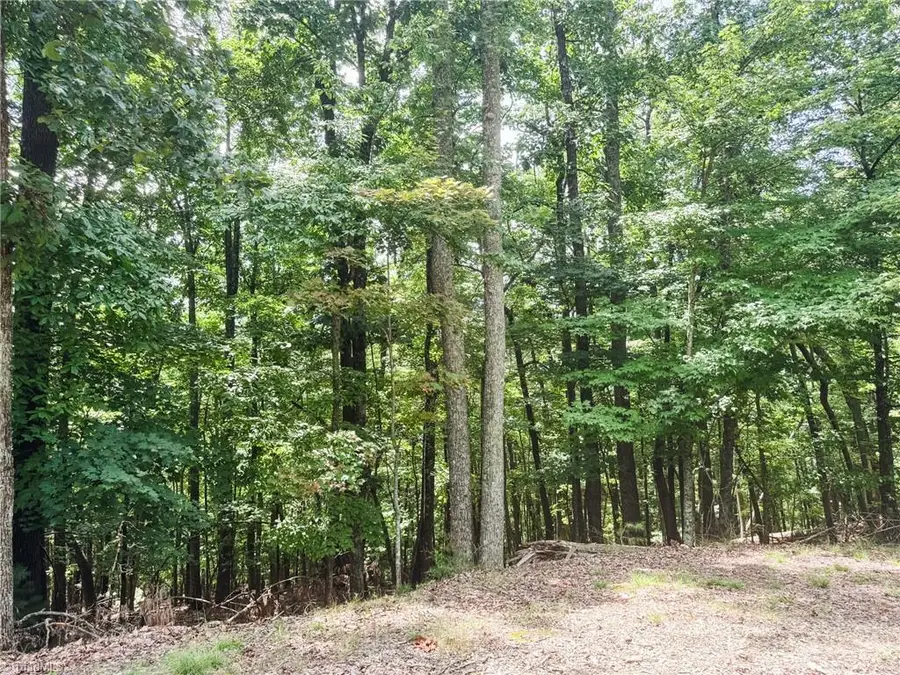 TBD Timber Ridge Road, McGrady, NC 28649 - #2