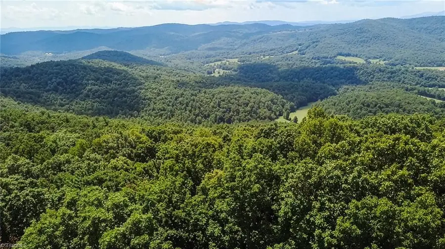 TBD Timber Ridge Road, McGrady, NC 28649 - #3