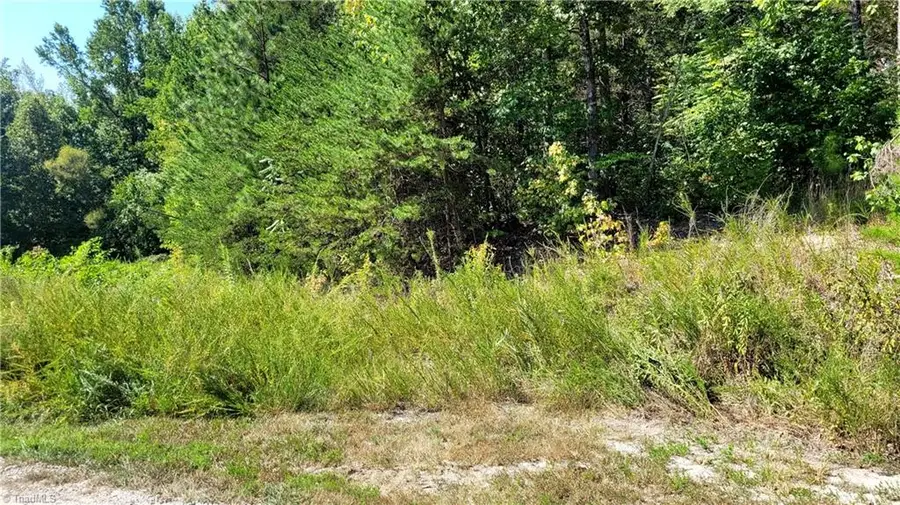 222 Kingfish Street, Midway, NC 27107 - #2