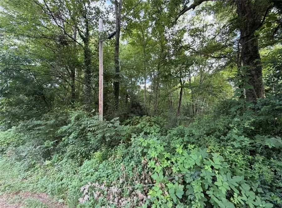 0 Aberdeen Drive, Lexington, NC 27292 - #2
